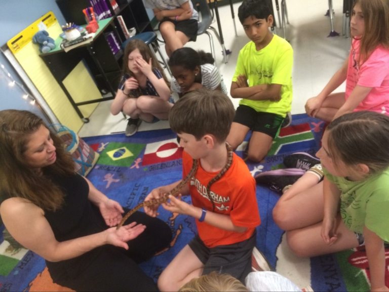 Fourth graders learn about animal adaptations