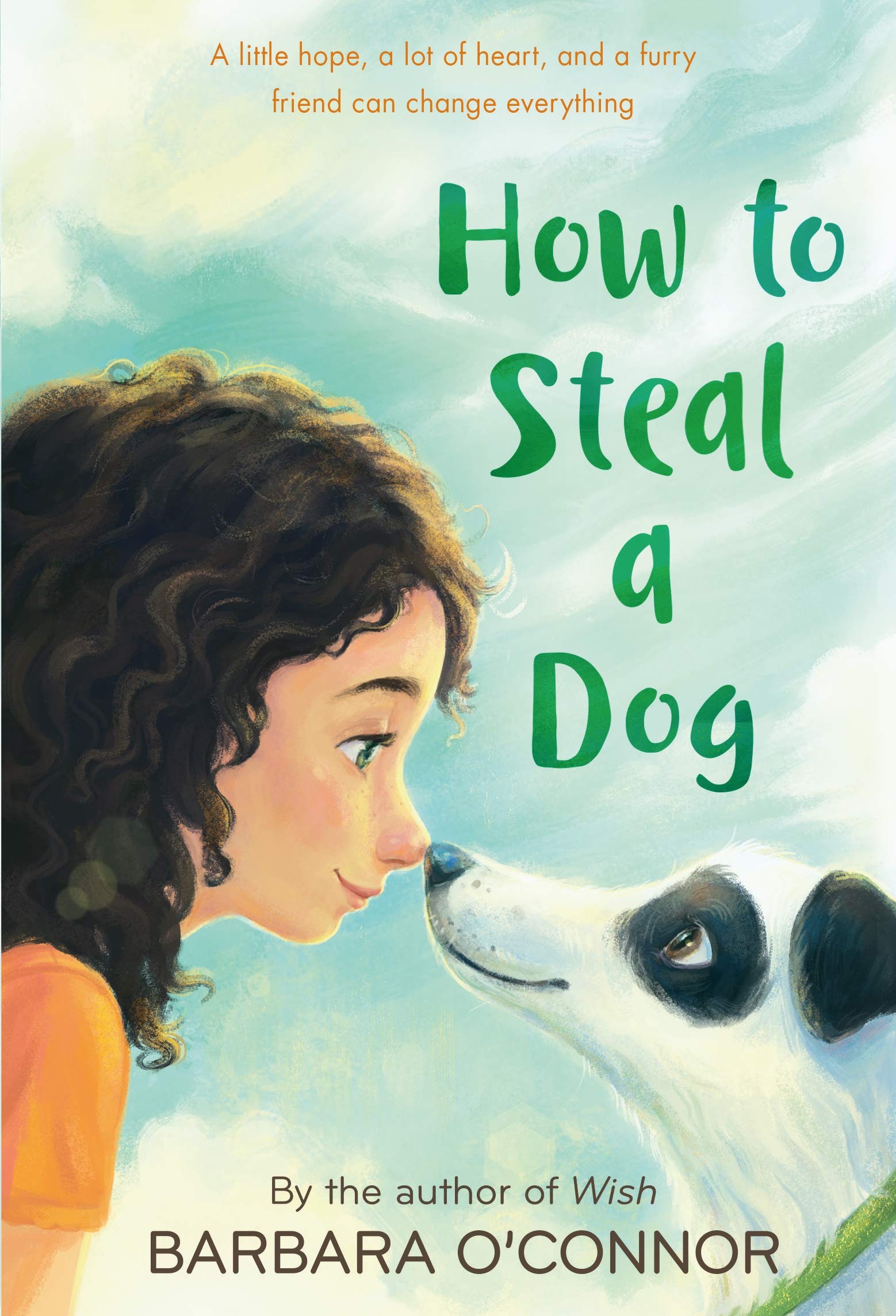 How to Steal a Dog by Barbara O’Connor
